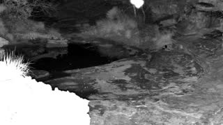 Still 1 from this detection