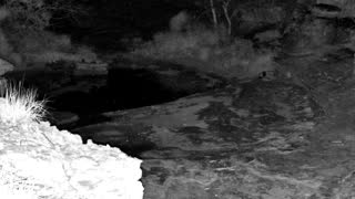 Still 2 from this detection