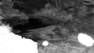Still 1 from this detection