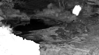 Still 2 from this detection