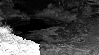 Still 1 from this detection