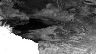 Still 2 from this detection