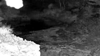 Still 2 from this detection