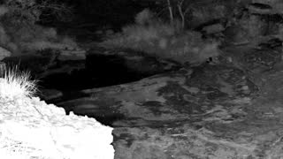Still 3 from this detection