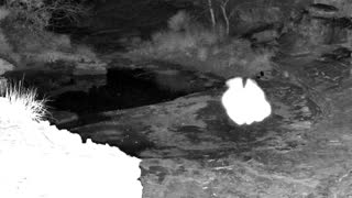 Still 1 from this detection