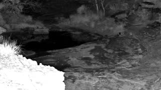 Still 2 from this detection
