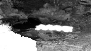 Still 2 from this detection