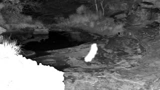 Still 1 from this detection
