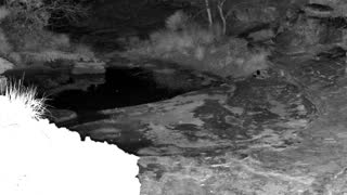 Still 2 from this detection