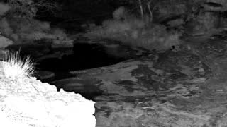 Still 3 from this detection