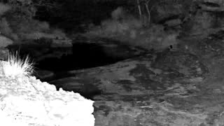 Still 2 from this detection