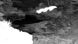Still 1 from this detection