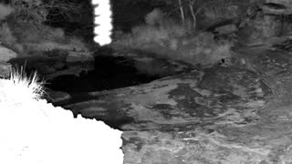 Still 2 from this detection