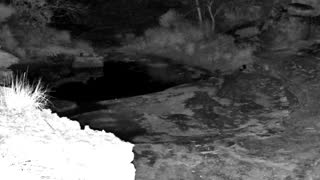 Still 3 from this detection