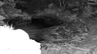 Still 2 from this detection