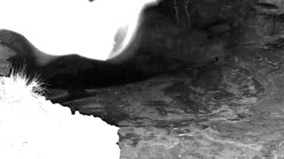 Still 1 from this detection