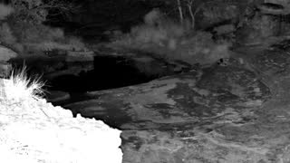 Still 2 from this detection
