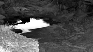 Still 2 from this detection
