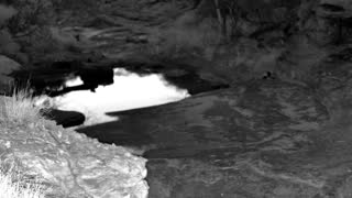 Still 1 from this detection