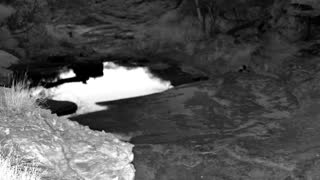 Still 2 from this detection