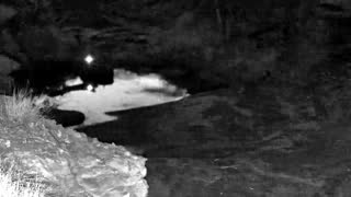 Still 1 from this detection