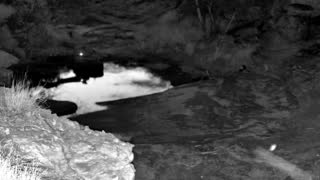 Still 2 from this detection