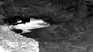 Still 3 from this detection
