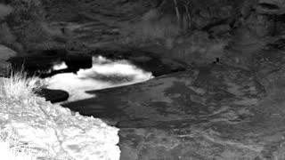 Still 1 from this detection