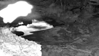 Still 2 from this detection