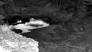 Still 3 from this detection