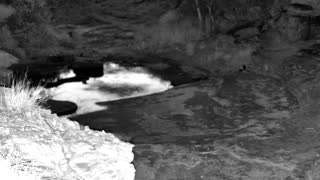 Still 1 from this detection