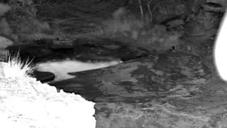 Still 2 from this detection