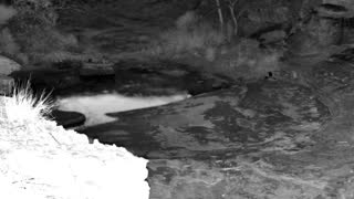 Still 3 from this detection