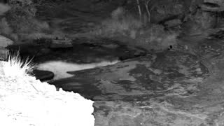 Still 1 from this detection
