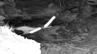 Still 2 from this detection