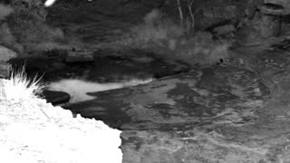 Still 3 from this detection