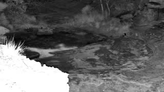 Still 1 from this detection