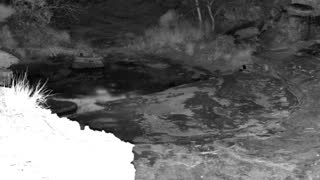 Still 3 from this detection