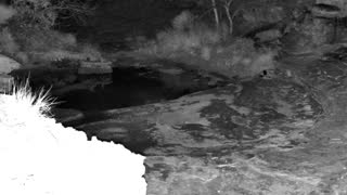 Still 1 from this detection