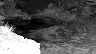 Still 3 from this detection
