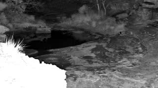 Still 3 from this detection