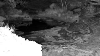 Still 1 from this detection