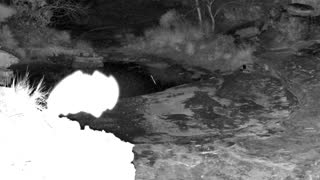 Still 1 from this detection