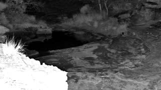 Still 2 from this detection