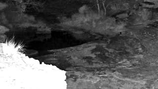 Still 1 from this detection