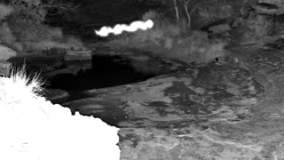 Still 1 from this detection