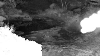 Still 2 from this detection