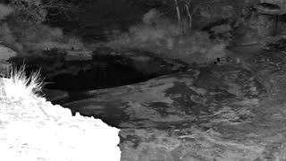 Still 3 from this detection