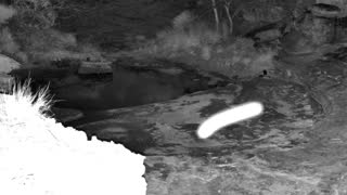 Still 1 from this detection