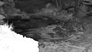 Still 2 from this detection
